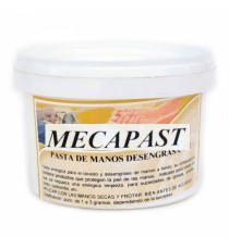 MECAPAST